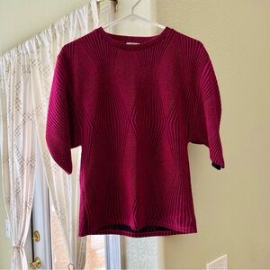 Zara Trafaluc | Fuchsia Texture Puffy Sleeves Top